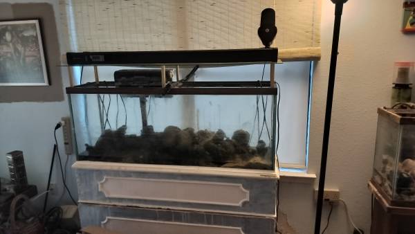 4 Aquariums For Sale - $40 (South Austin)63471406192259121
