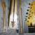 Electric guitar:Fender MightyMite neck,Westone Spectrum,Lotus,Washburn 2 thumbnail