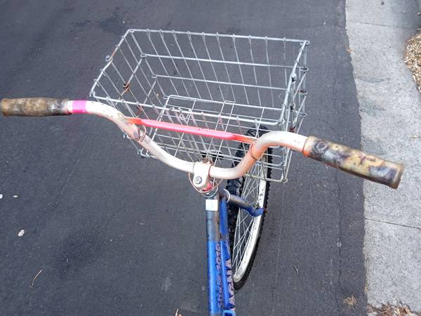 Custom Made Burning Man Cruiser Bike + Basket! - $125 (Richmond / Deliver to Richmond BART?)63471255335683121