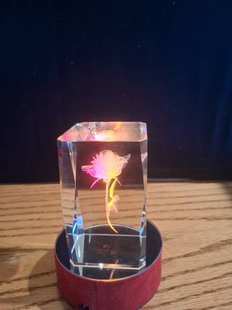 Crystal rose 1