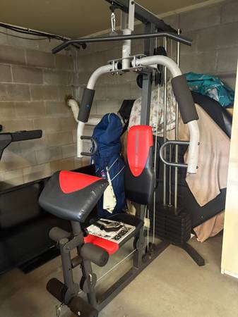 Weider 2980 X Home Gym 1