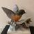 Vintage Lefton China Hand Painted Robin Figurine #KW4954 5 thumbnail