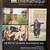 TIFF Cinematheque January 2010 Magazine. 54 pages - see contents 1 thumbnail