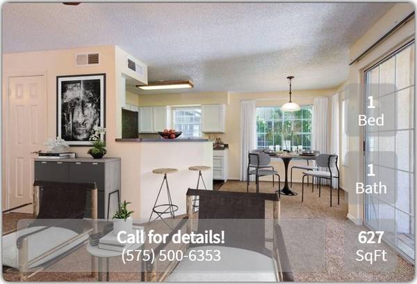 $999 / 1br - 627ft2 - Fluffy, Fido, and you! Our 1 Bed / 1 Bath is ready to move in. (Las Cruces - Near NMSU)63861851087361120