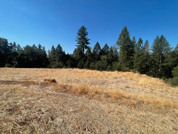 $125,000 REDUCED!!  10 Plus Forested Acres, Good Well, Quiet, Water Storage (Grass Valley)63952105759491121