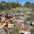 Oak firewood 3 thumbnail