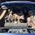 68 BCUDA 383 727 4 thumbnail
