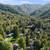 Live Among the trees in the Santa Cruz Mountains at Lupin Lodge 1 thumbnail