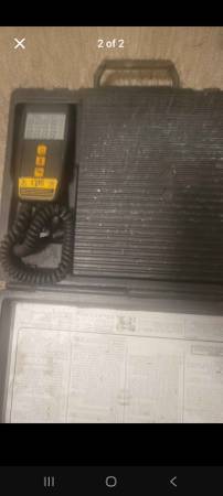 Portable Scale 1