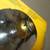 (2) NOS GE Standard Halogen Flood Lights 100W 1400 Lumens READ! 9 thumbnail
