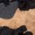 All Black toy poodle for sale 1 thumbnail