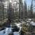 #6 Scott View Drive ~ .95 Acres ~ Mt Scott Meadow ~ Many Large Pines 10 thumbnail