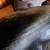 Big Sky Carvers Wood Skunk 16 thumbnail