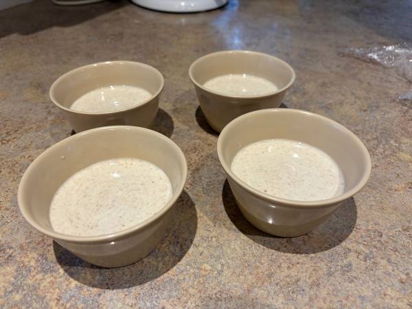 Sourdough Starter (Regularly Available) 1