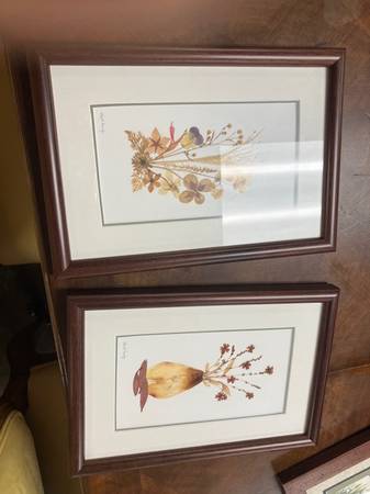 Set of 2 Artwork with Dried Wildflowers 65495 1