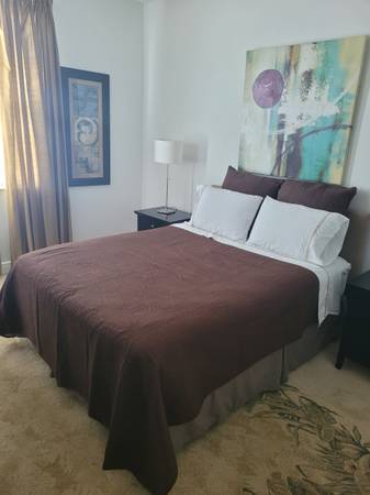 $555 / 3br - Habitación amueblada con baño privado en ubicación privilegiada (San Mateo, CA)63824142052737120