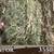 Online, Video, Hay Auctions every Wednesday 12 thumbnail