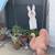 Lots of stuff to sell! Garden, window a/c, furniture, new vanity, elli 1 thumbnail