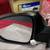 16-23 TACOMA Side Mirrors ( NEW) 13 thumbnail