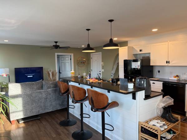 $1,250 / 1br - 1200ft2 - Cozy Apartment for Rent - Lease Takeover (Johnson City)64035575647874124