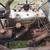 Doodlebug tractor 4 thumbnail