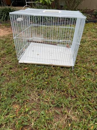 Bird cage 1
