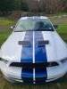 09 Shelby GT 500 - $69.950 (Yacolt)63473487147905123