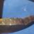 Vintage Superform Parrot Jaw Slip Joint Pliers 1940s 7 thumbnail