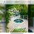 Old Naples Florida resort rental. Near Beach. Jan 10th thru Jan 17th 2 thumbnail