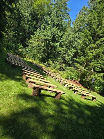 Live Edge Benches - $100634357919622431220