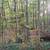 2.2 Commercial/Industrial Acres - Nottingham, NH 10 thumbnail