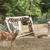 Mini nubian doe/doeling pair 1 thumbnail