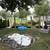 Landscaping services (next level quality) - Many other services also 2 thumbnail