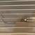 EVH Wolfgang Guitar Pickup Direct Or Frame Mount 1 thumbnail
