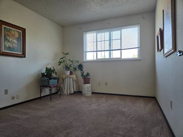 $1,000 / 1br - Nice room in Quiet House (rohnert pk / cotati)63994098855938120