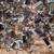 Bulk Lot 256 Flashing Solar LED Keychains 8 thumbnail