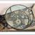 Bruno Romeda's Brm33 Bronze Coffee Table 4 thumbnail
