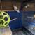 Parakeets 5 thumbnail