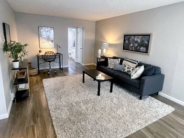 1 1bd 1ba apt | Willow Glen area | Generous storage | Modern kitchen 1