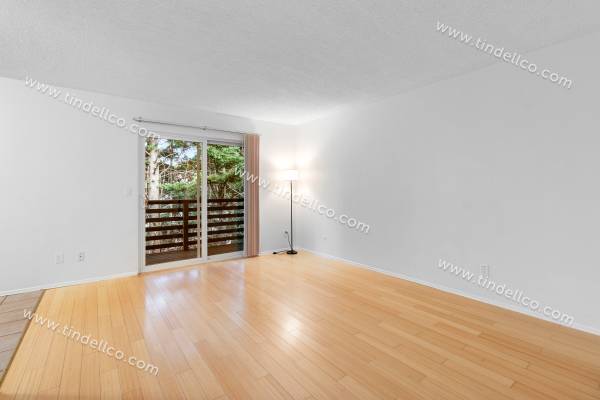 $1,350 / 1br - 650ft2 - Apartamento brillante y encantador de 1 habitación | Admite mascotas e incluye servicios (Portland)63820795853315123