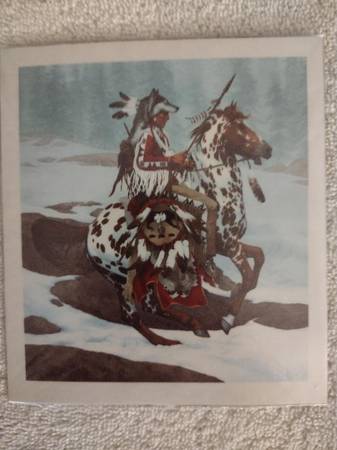 Native American, Cats & Cowboys Art Fridge Magnets 1