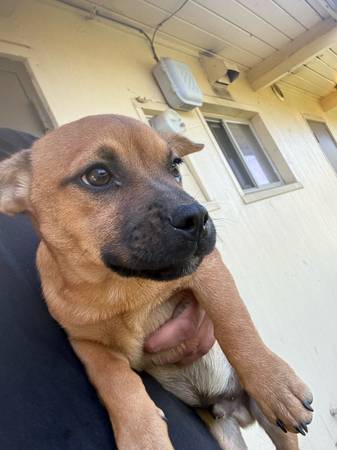 Chimix need gone asap (Goshen)64025057496963121