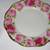 Rosenthal Bavaria Cacilie Chrysantheme China - rare in USA 4 thumbnail