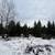 Raw land away from it all but close to town! 9 thumbnail
