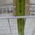 White wire mesh basket 4 thumbnail