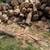 Cord wood 5 thumbnail