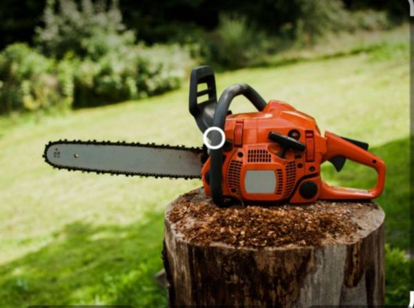 FLORES TREE TRIMMING & REMOVAL 1