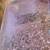 Kaleidoscope pink oozing glitter picture frame 4 thumbnail