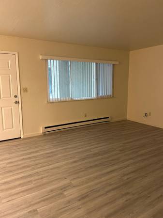 Large 1 bedroom Downstairs unit 1