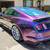 2017 Mustang GT Premium 6 thumbnail